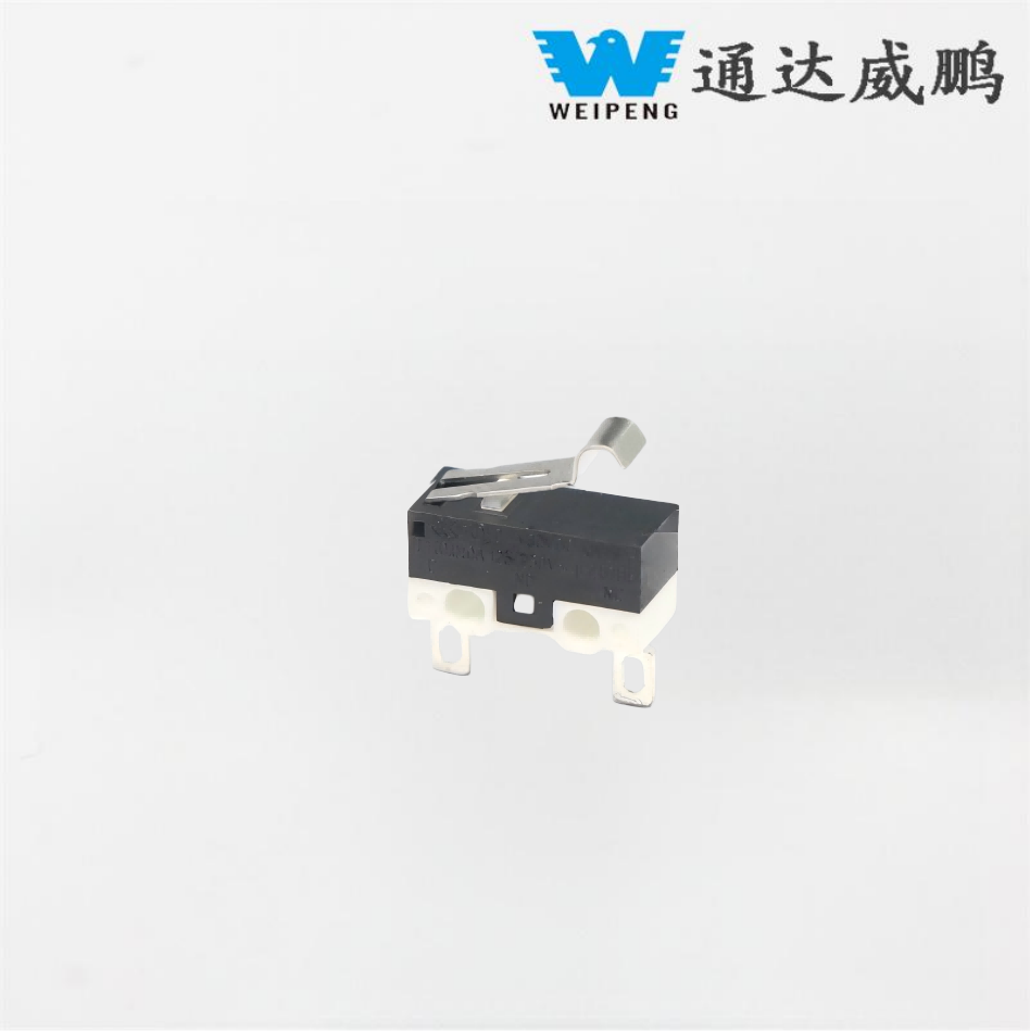 1A/3A Manufacturer Supplies 2-Pin Smart Door Lock Micro Switch