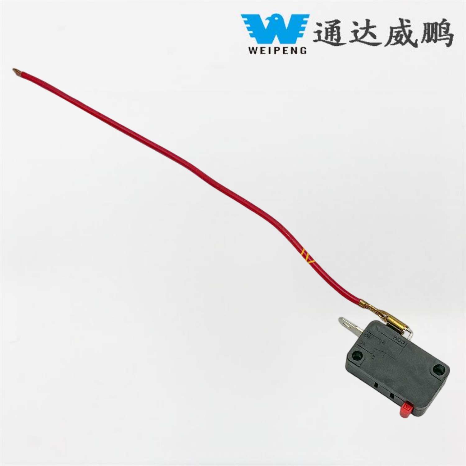 Machine ng paghuhugas ng kotse na may wired micro switch