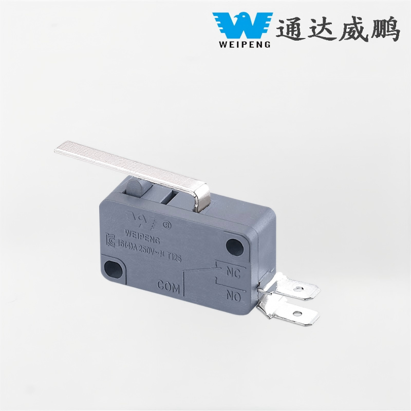 Silver Contact Water Heater at Rice Cooker Accessories na may Handle Micro Switch