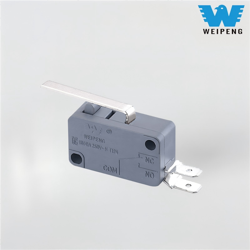 Silver Contact Water Heater High-Sensitivity Lever Micro Switch