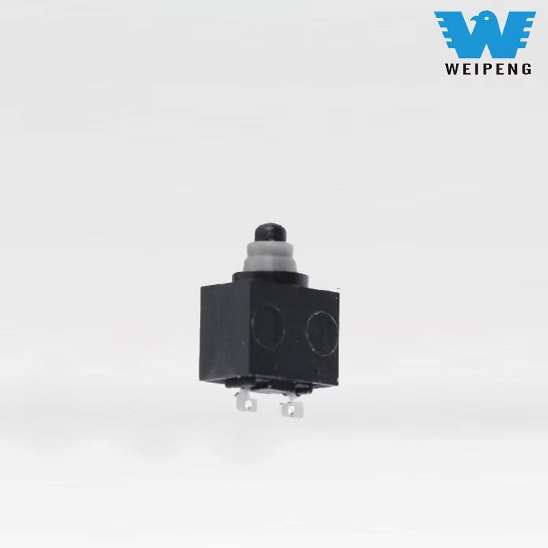 Hindi tinatagusan ng tubig micro switch two-legged