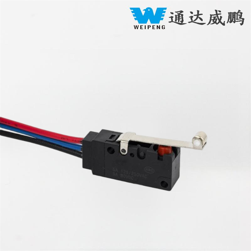 Weipeng High-Current Home Appliance Dishwasher Waterproof Micro Switch